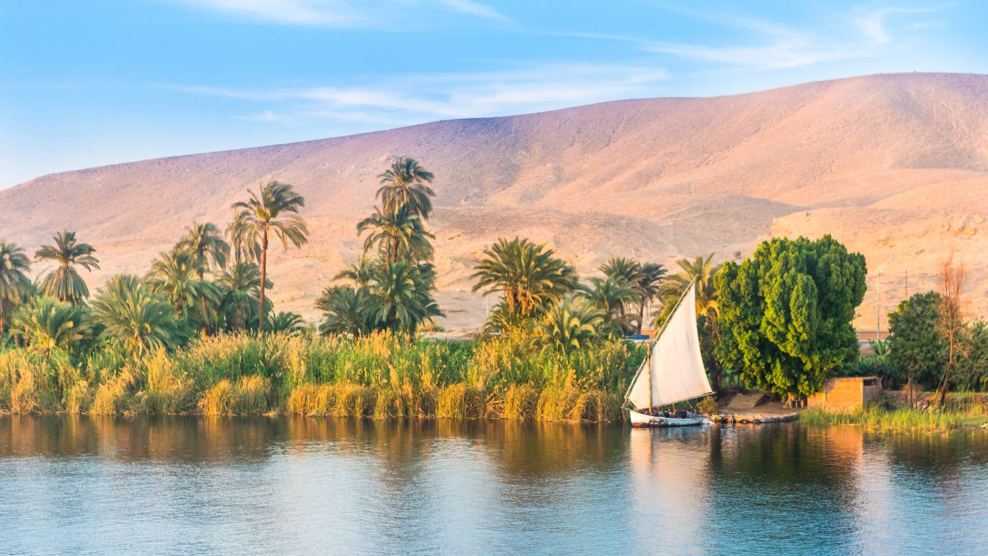 SPECIAL 15 daagse rondreis Cairo Nijlcruise en Rode Zee 3